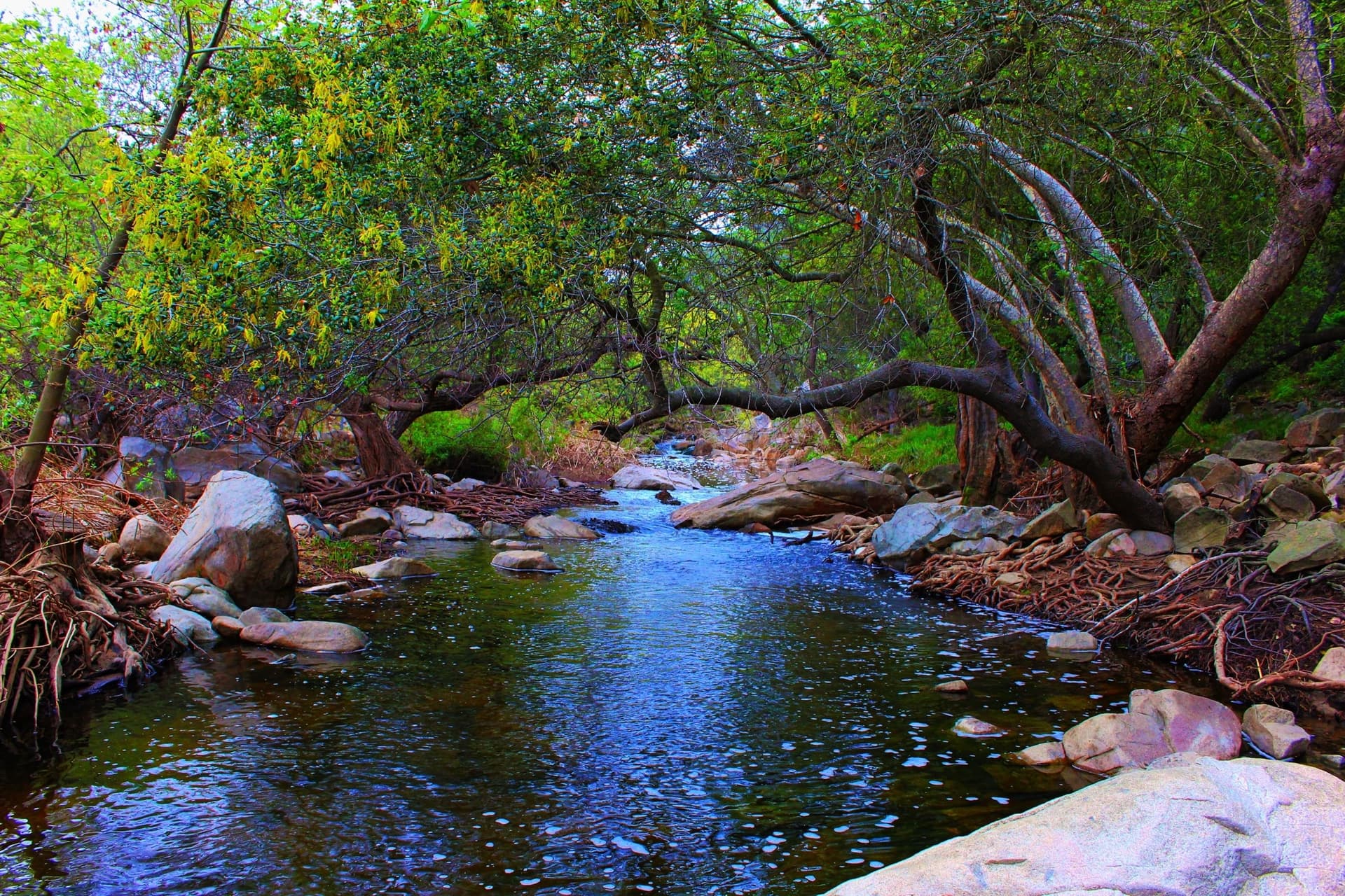 Self Storage Exchange Targets